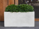 Photo of Campania Sandal Planters - Marquis Gardens